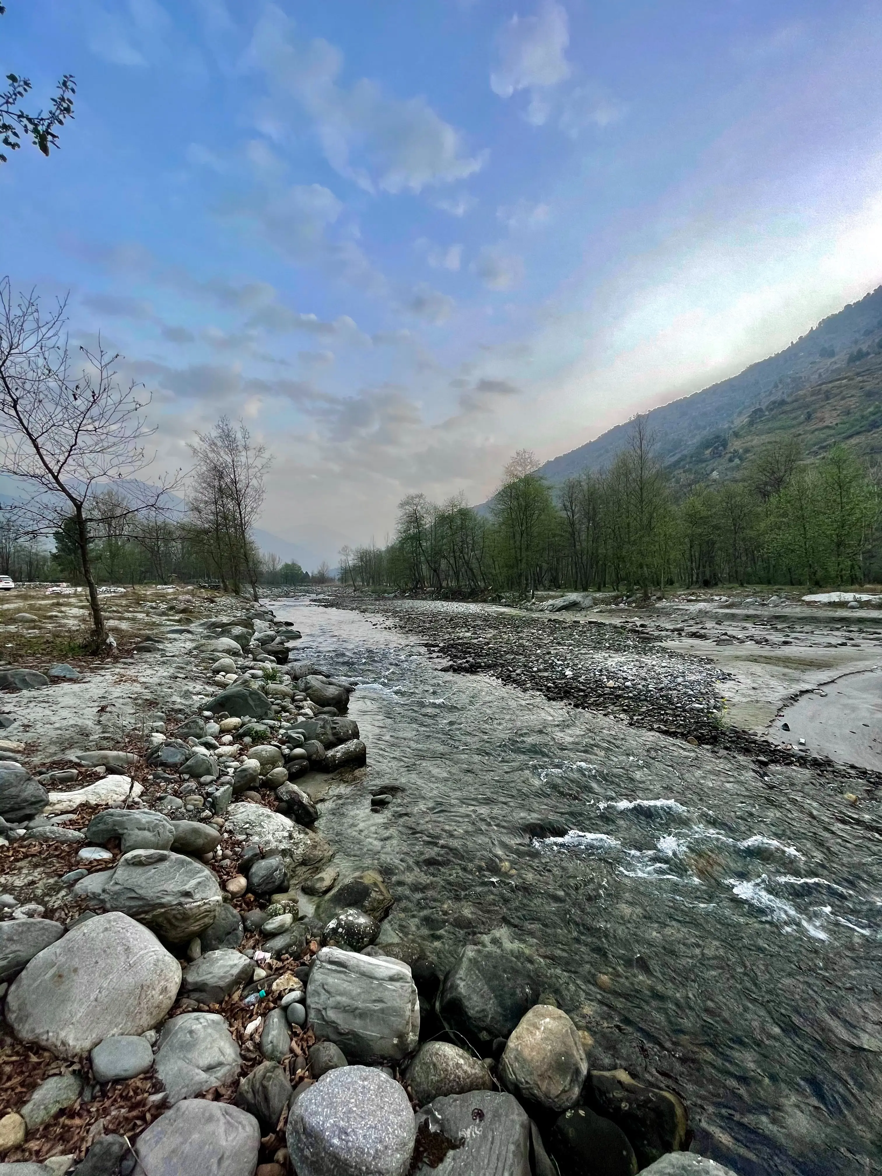 Elated Trip Manali